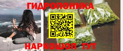дмт Пенза