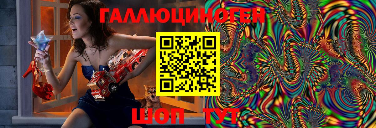 Тайшет  Псилоцибиновые грибы ЛСД  Вход с VPN 